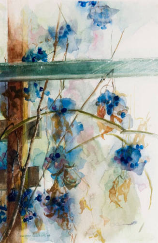 Winter Berries