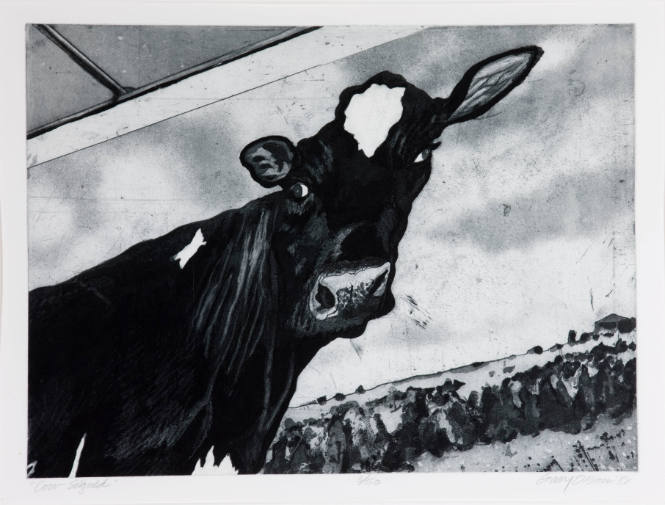 Cow Signed