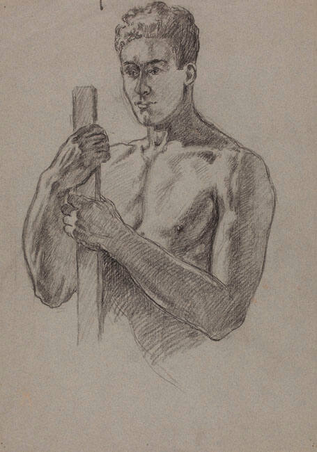 Male Torso