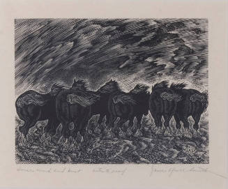 Horses, Wind and Dust