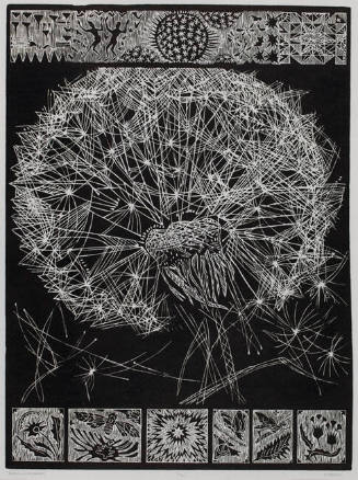 World of Dandelion