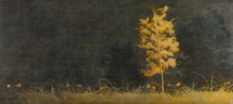 Abyss (Landscapes for the End of Time)