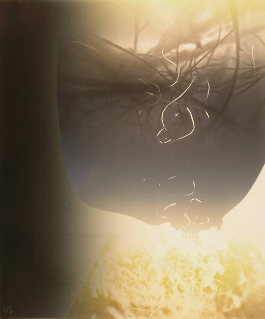Dissolving Dream