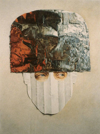 Foil Helmet II